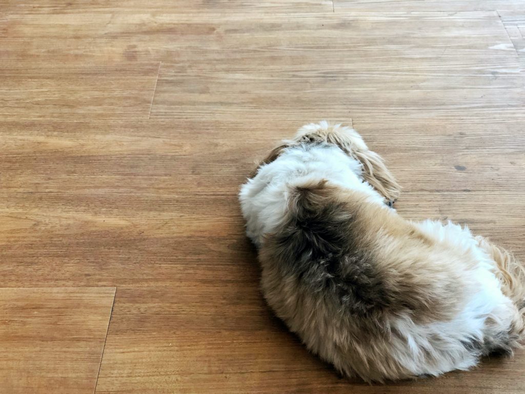Carpets are out. Luxury vinyl plank flooring is the new hot trend.